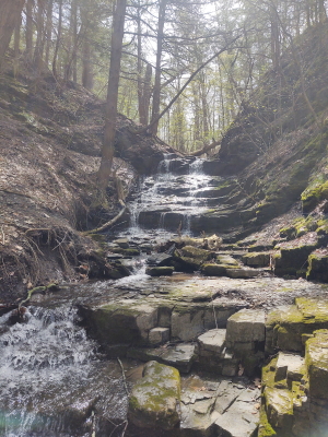 Picture of a waterfall at Thatcher Park